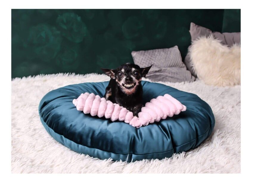 received_280956660030760