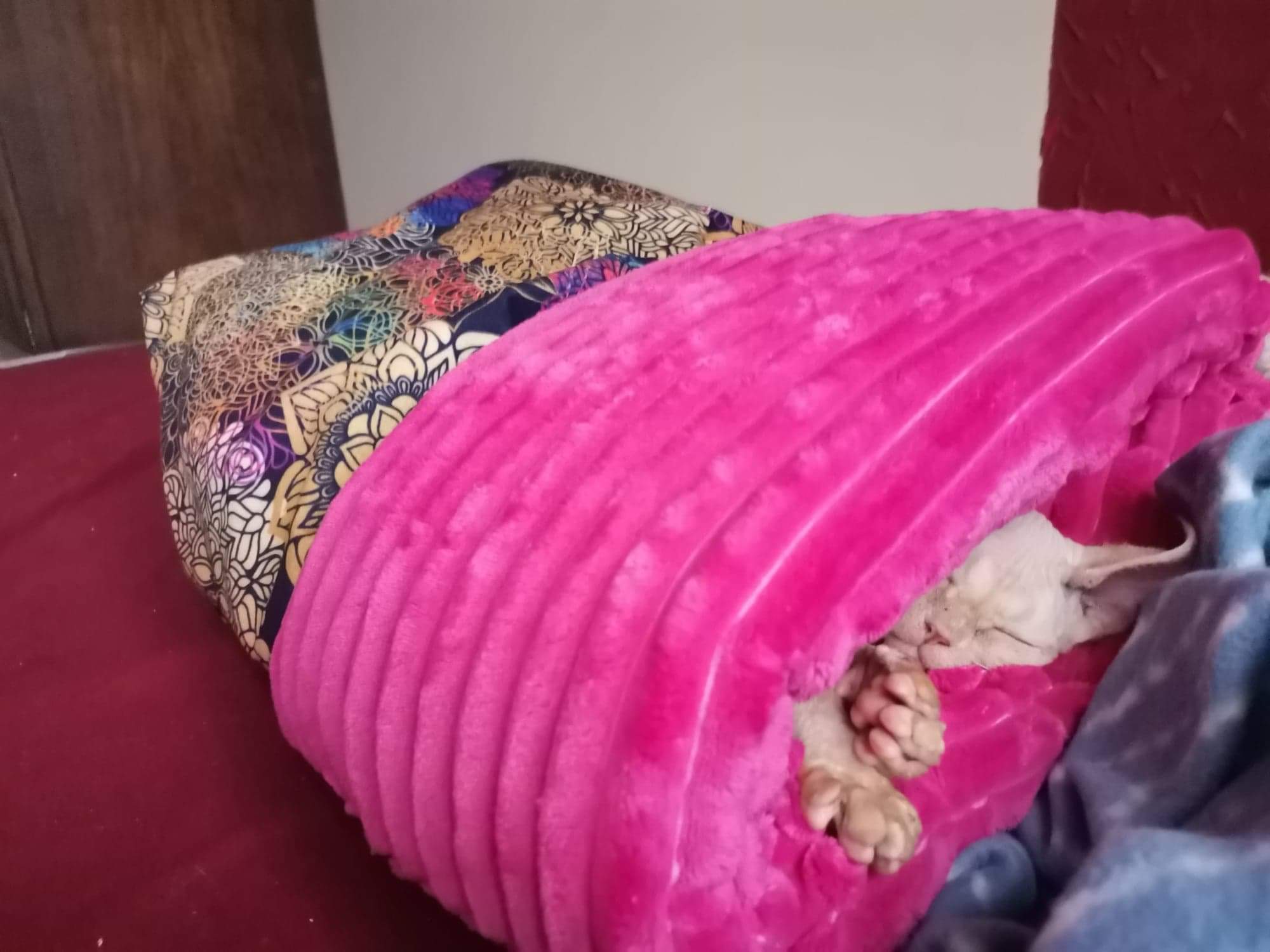 received_1035551220288951