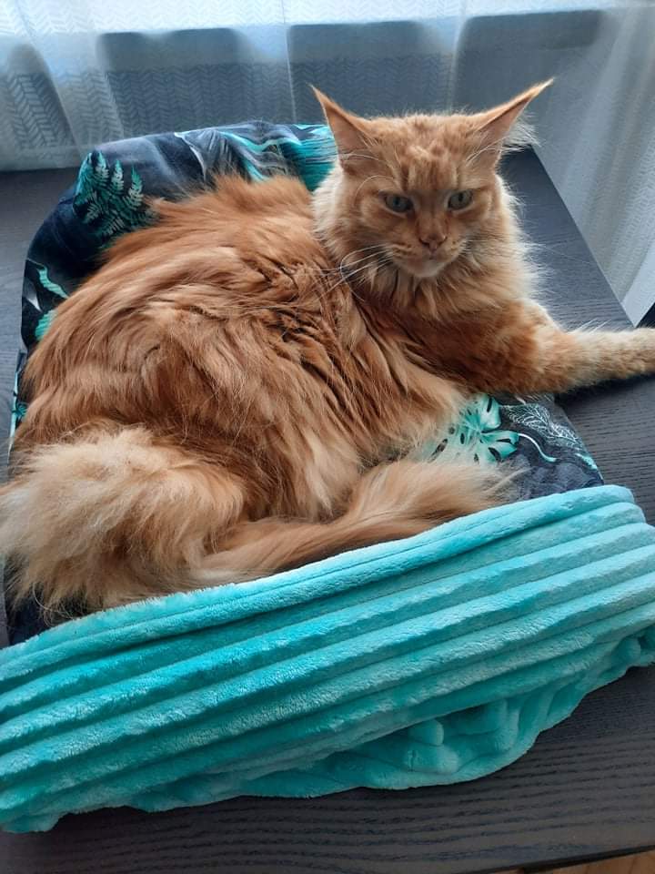 received_1051058072315103