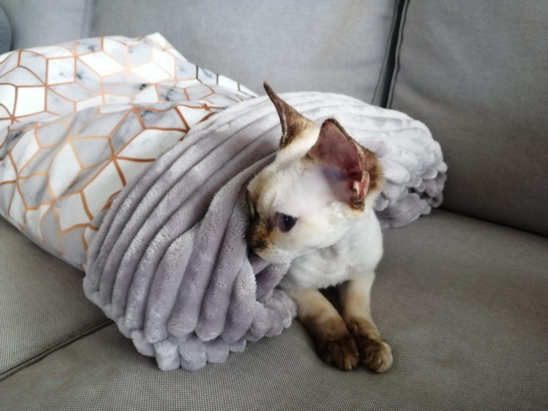 received_1102571940223869