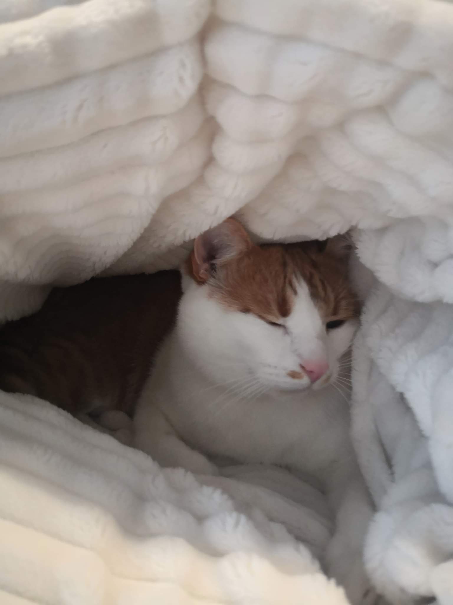 received_265486751930097