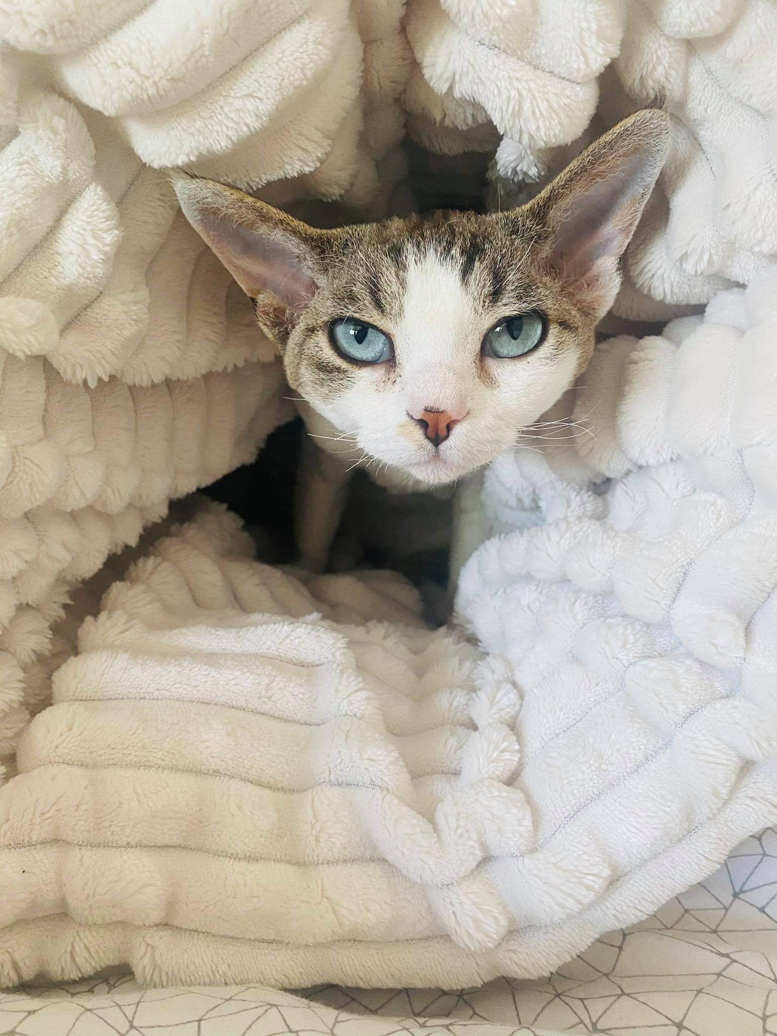 received_272284857731175