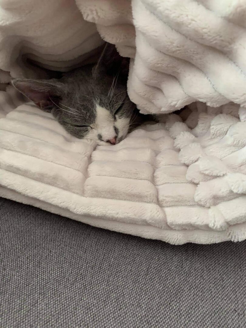 received_3914610691907842