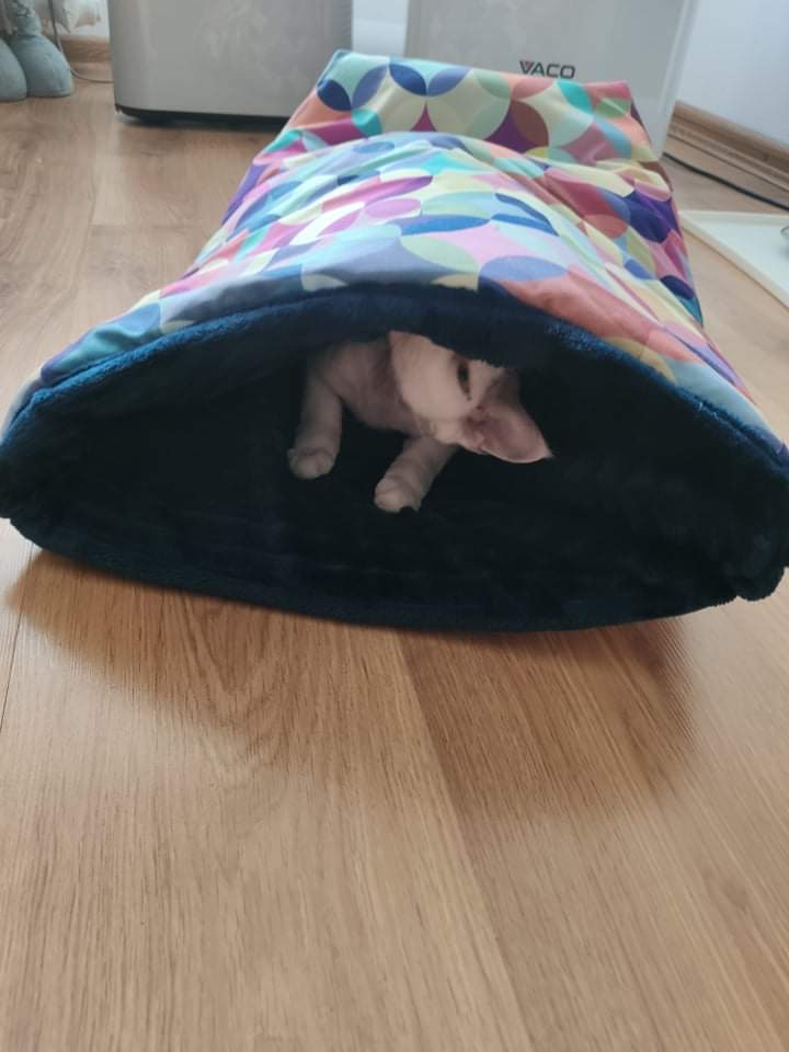 received_528216538522275