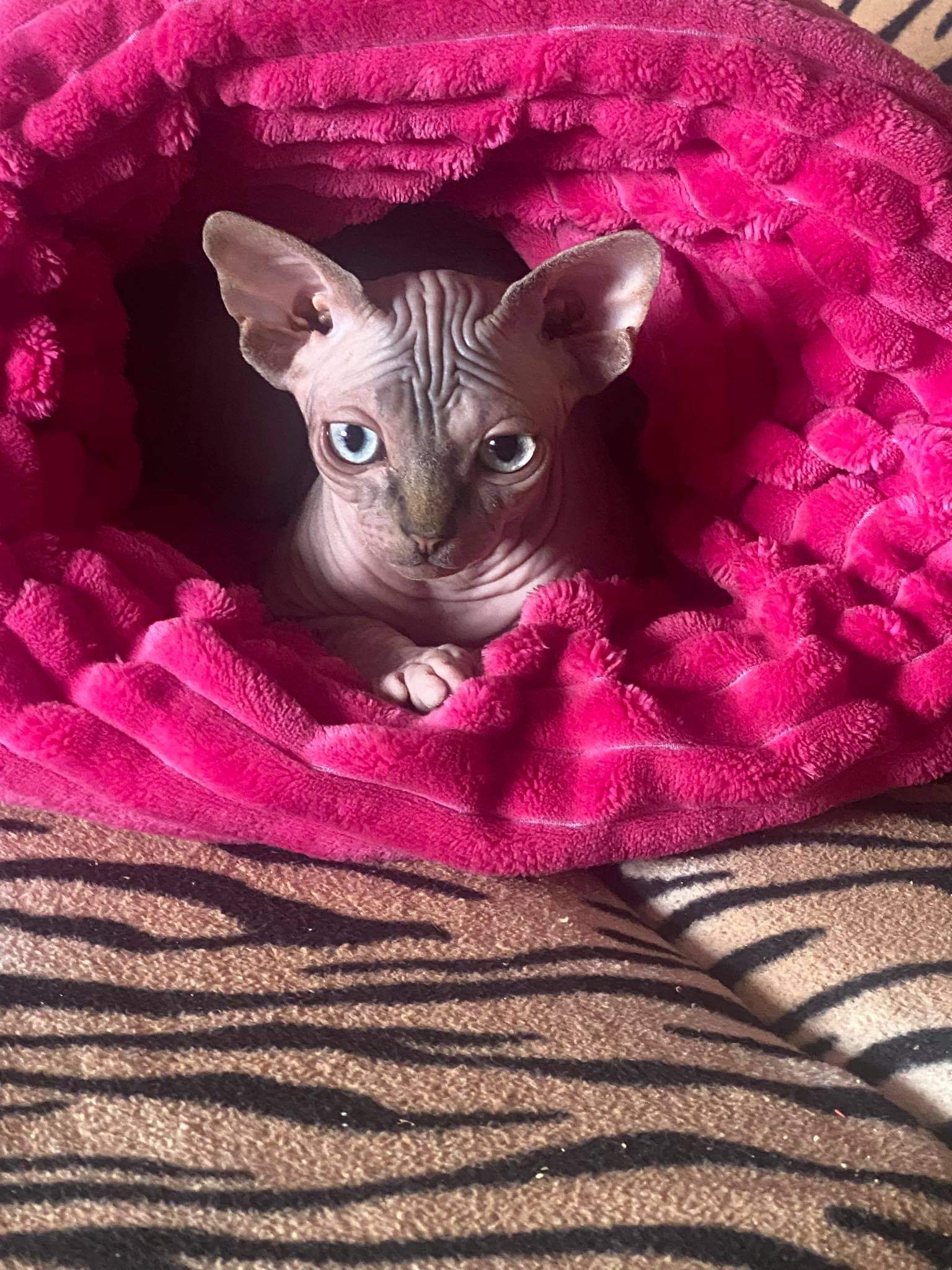 received_572542687420394