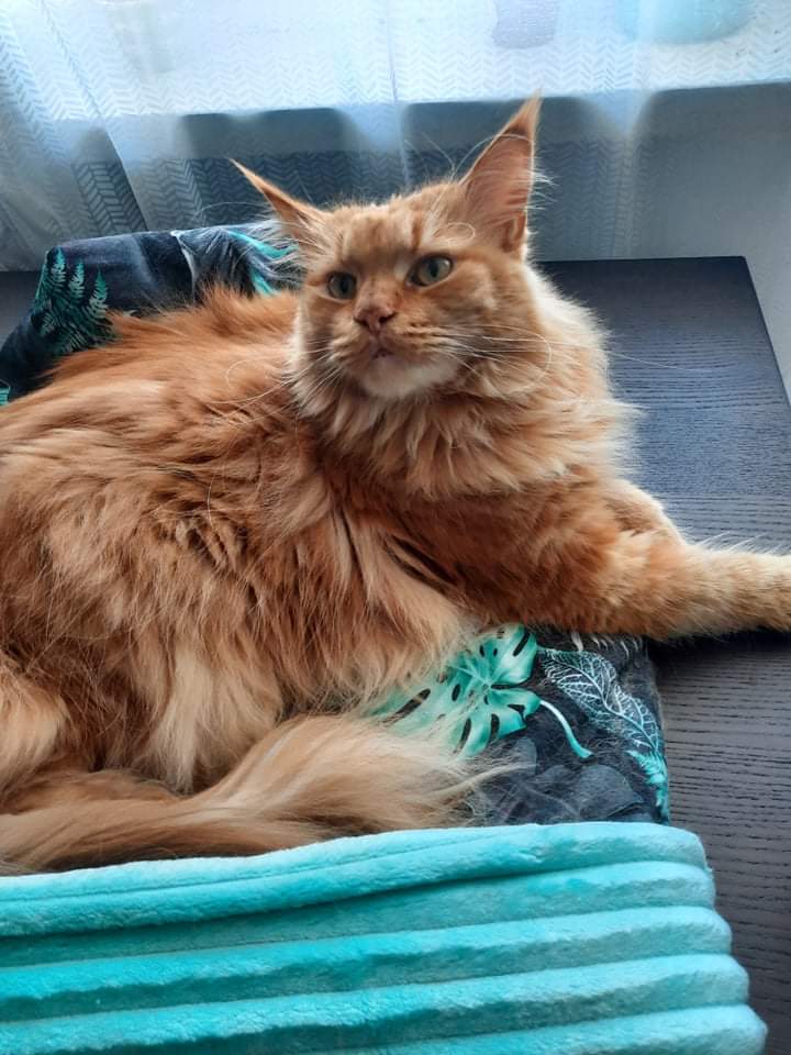 received_585858242662023