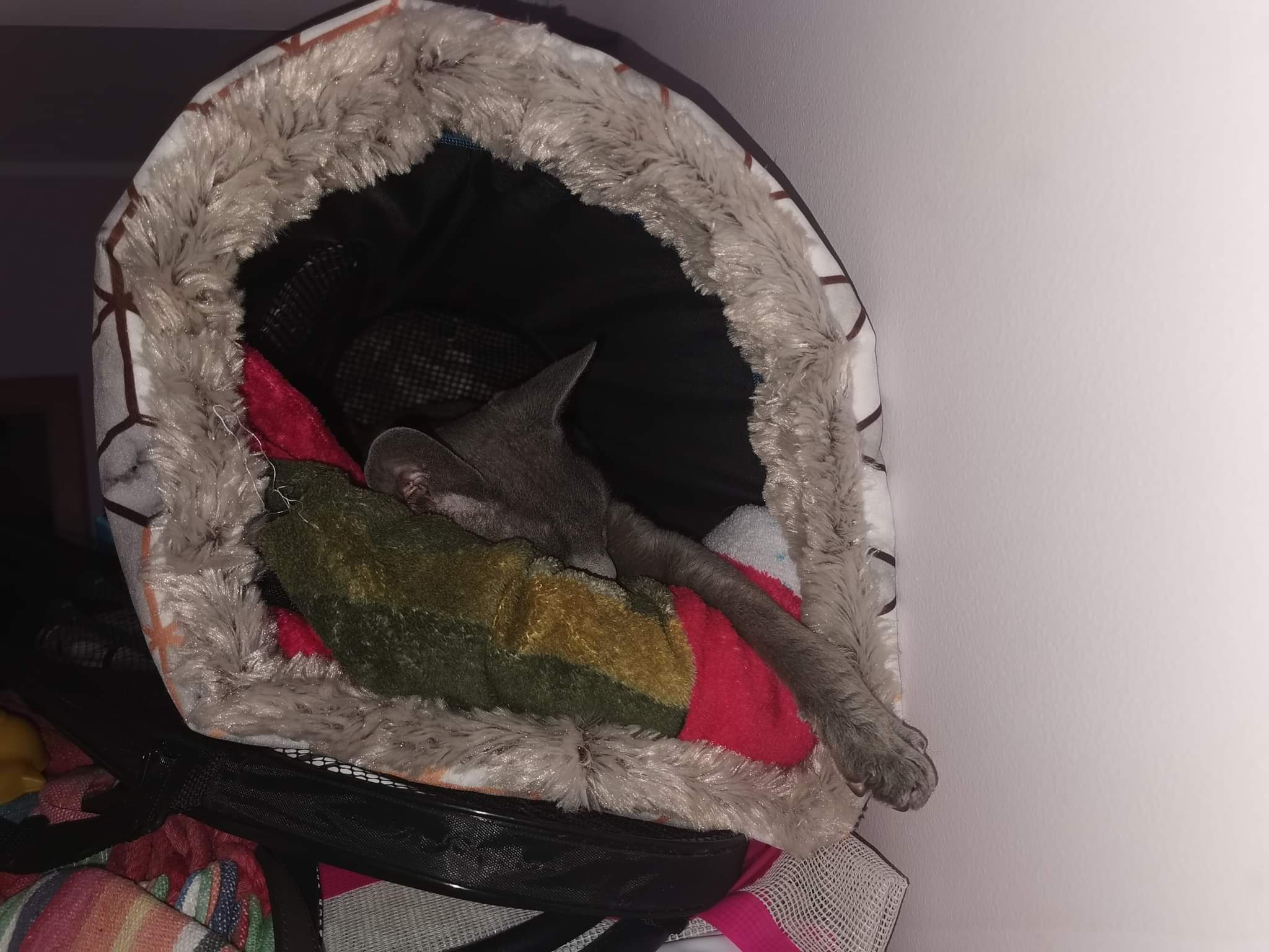 received_823160544956664