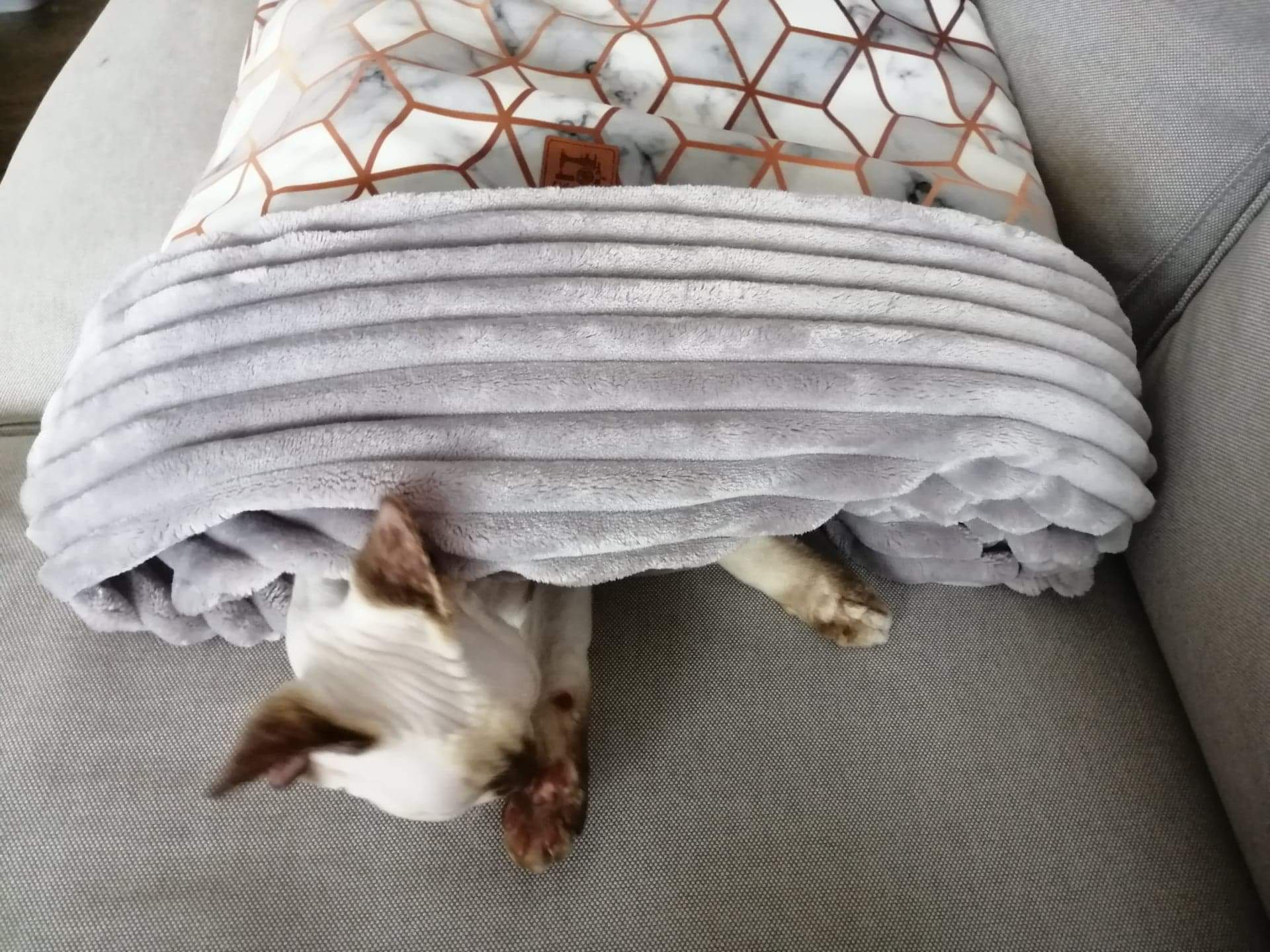 received_862953457629482