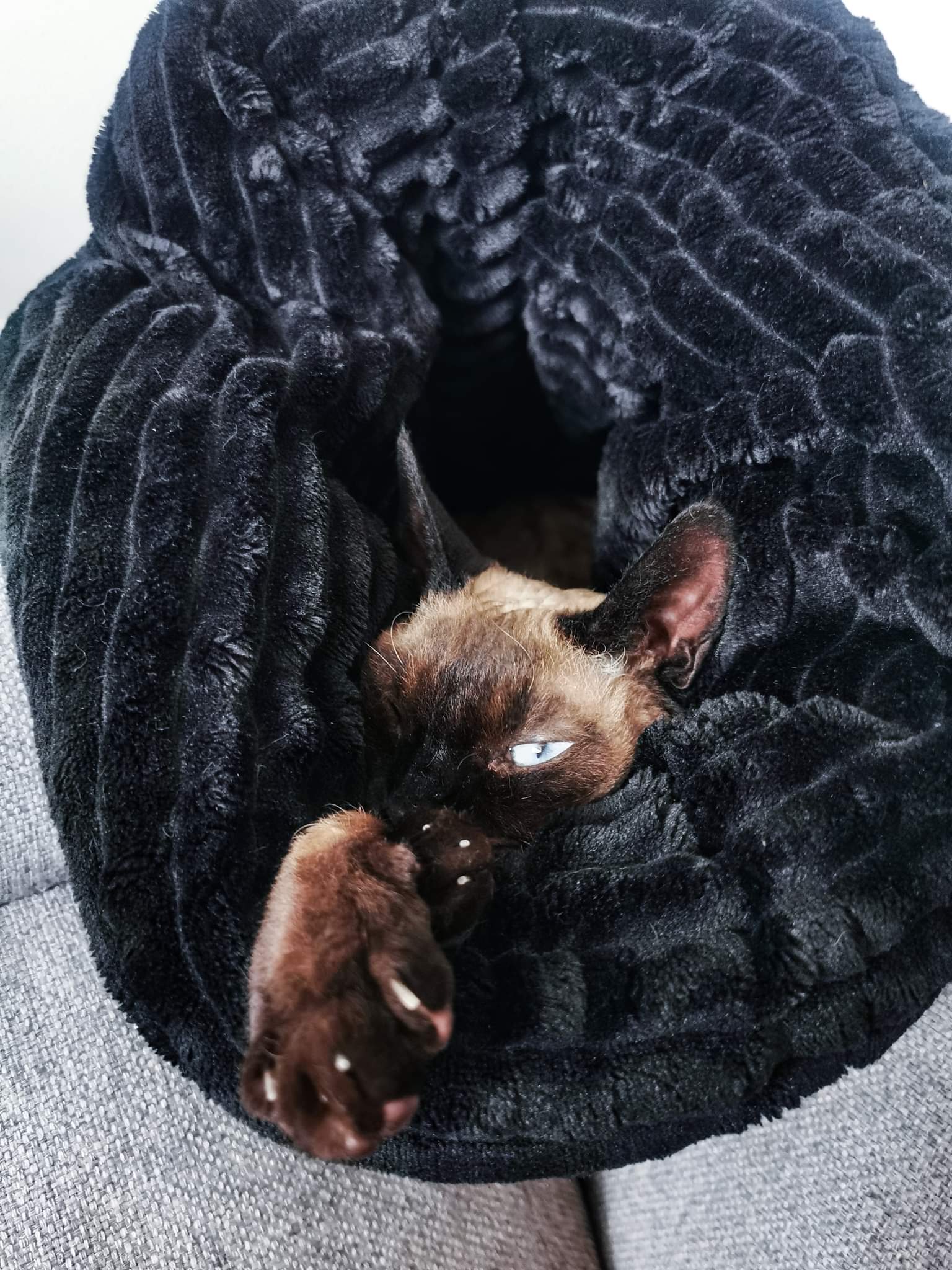 received_279482157187766